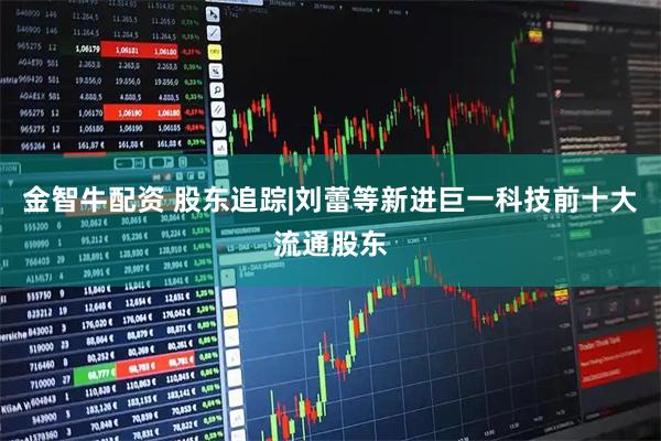 金智牛配资 股东追踪|刘蕾等新进巨一科技前十大流通股东