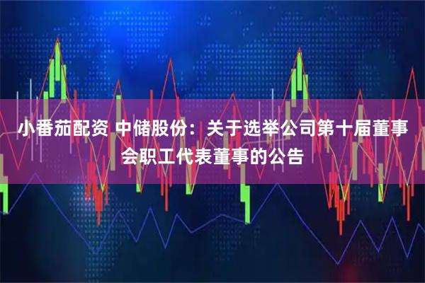 小番茄配资 中储股份：关于选举公司第十届董事会职工代表董事的公告