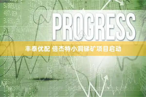 丰泰优配 倍杰特小洞锑矿项目启动
